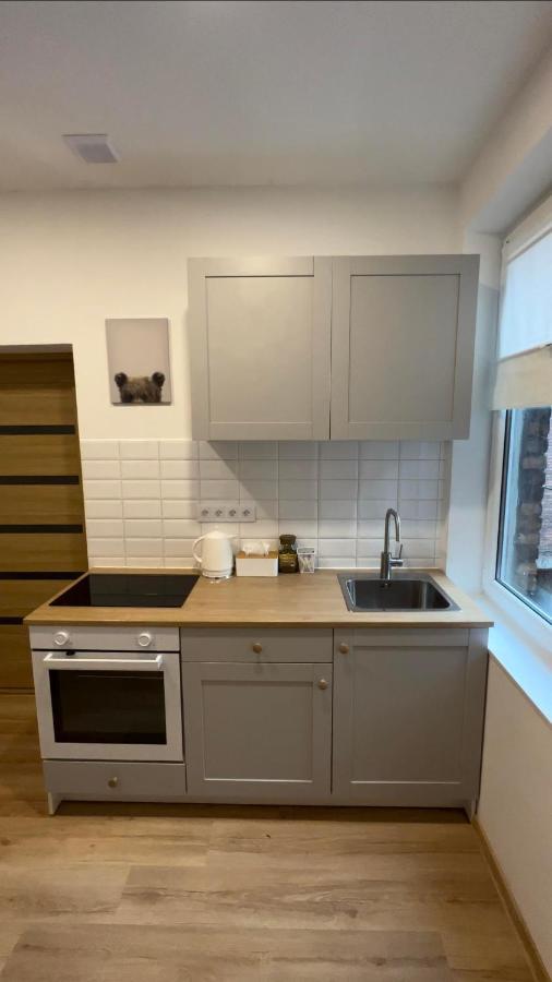 Wood Apartment Katowice Exterior foto